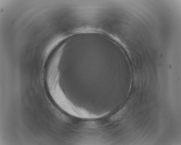 X0000073891463200609011641