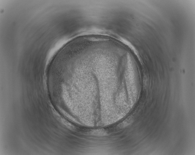 X0000073891464200609011641