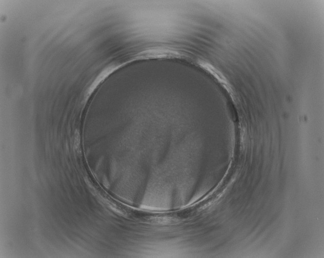 X0000073891465200609011641