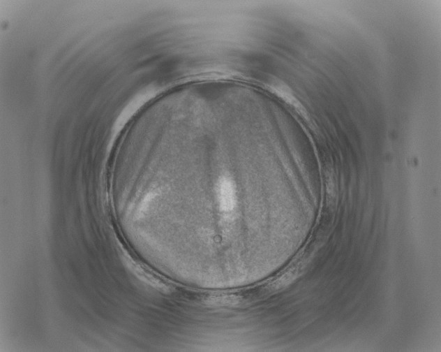 X0000073891466200609011641