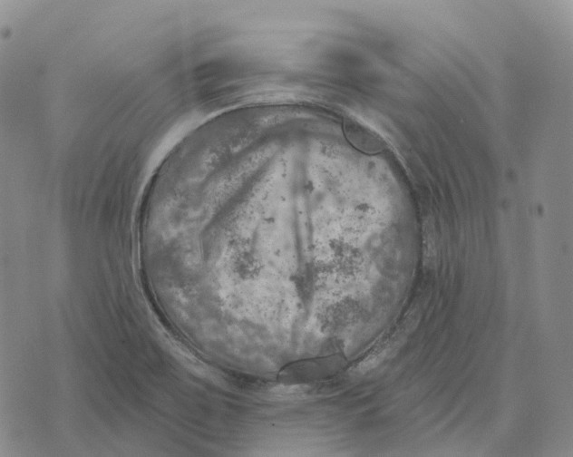 X0000073891467200609011641