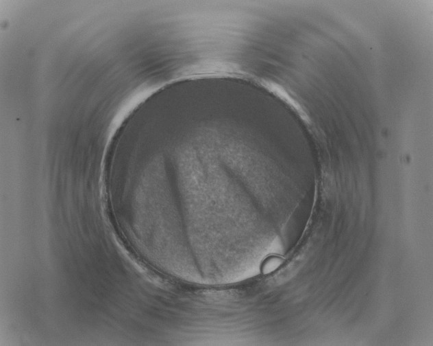 X0000073891469200609011641