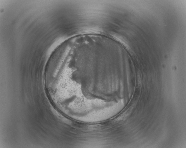 X0000073891471200609011641