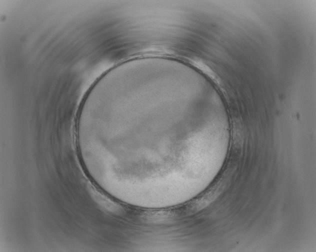 X0000073891474200609011641