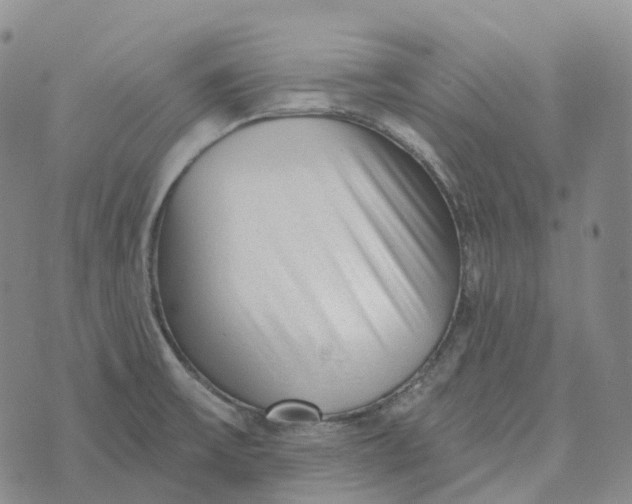 X0000073891475200609011641