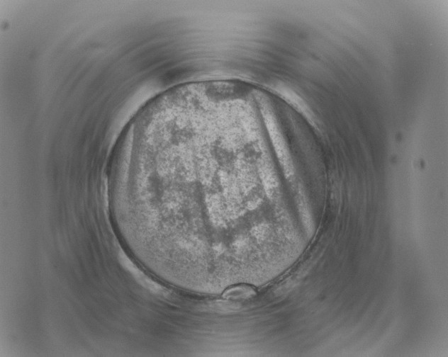 X0000073891476200609011641