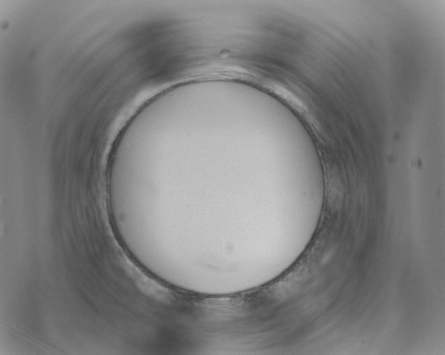 X0000073891478200609011641