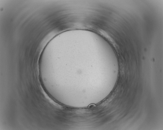 X0000073891479200609011640