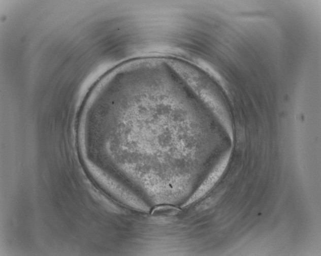 X0000073891480200609011640