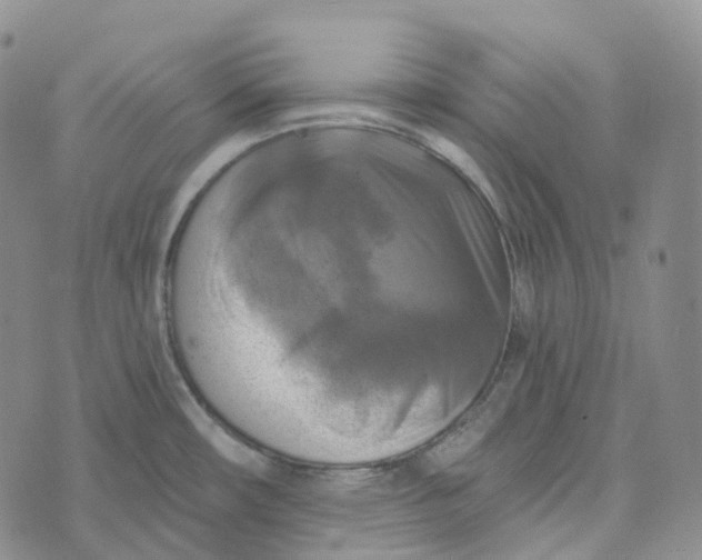 X0000073891482200609011640