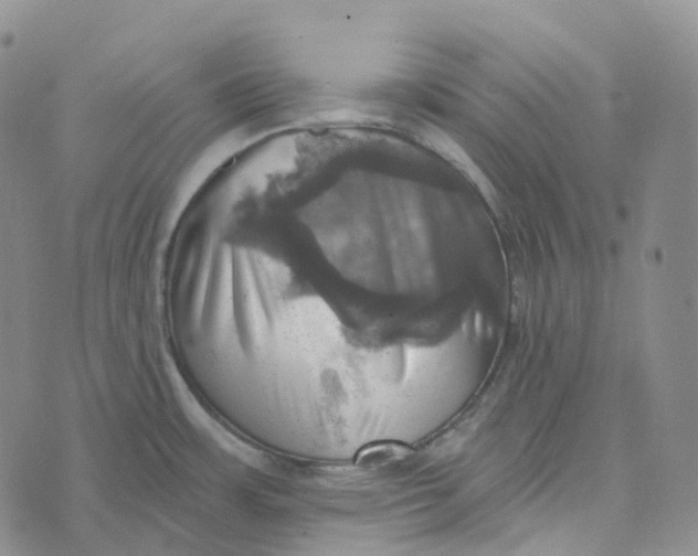 X0000073891483200609011640