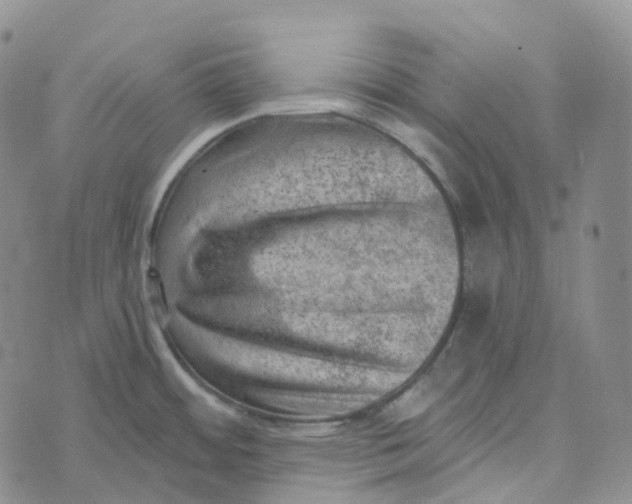 X0000073891484200609011640