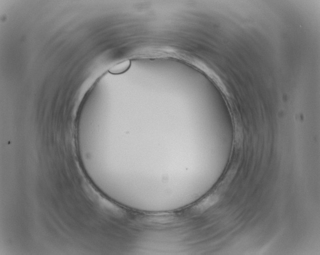 X0000073891486200609011640