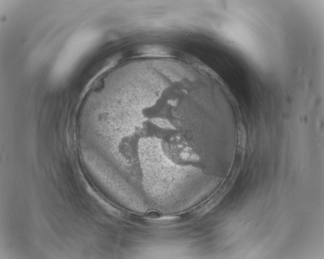 X0000073891487200609011640