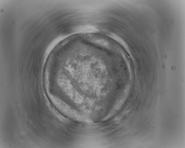 X0000073891488200609011640