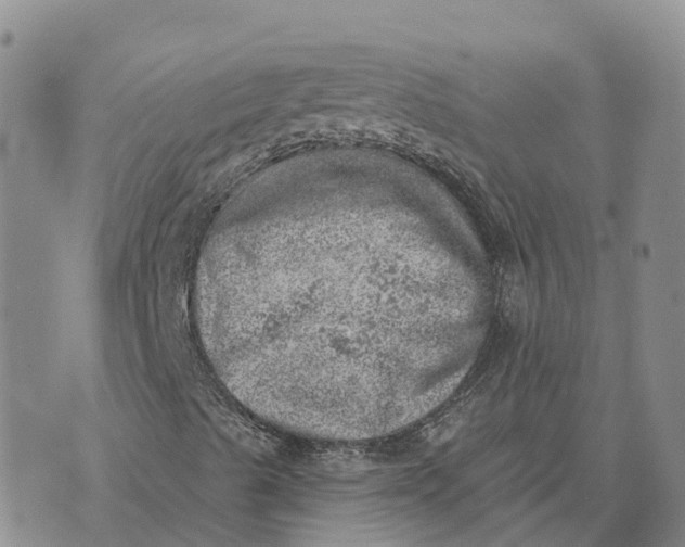 X0000073891489200609011640