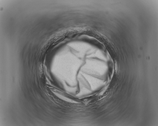 X0000073891492200609011640