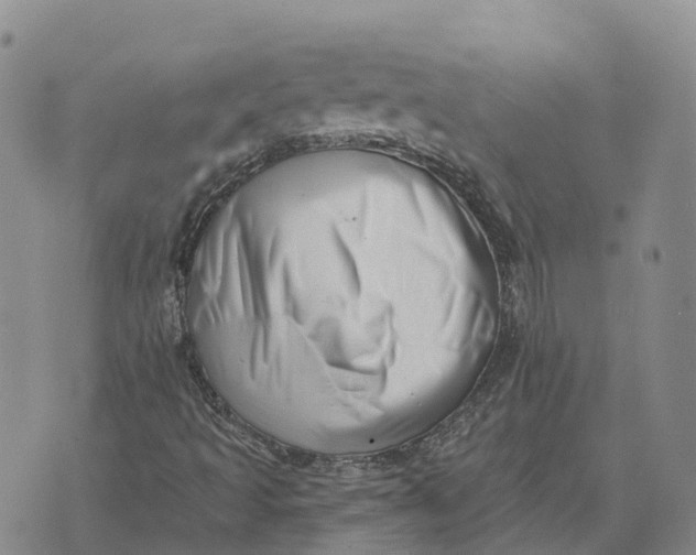 X0000073891493200609011640