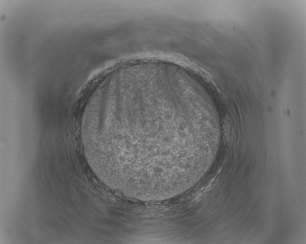 X0000073891494200609011640