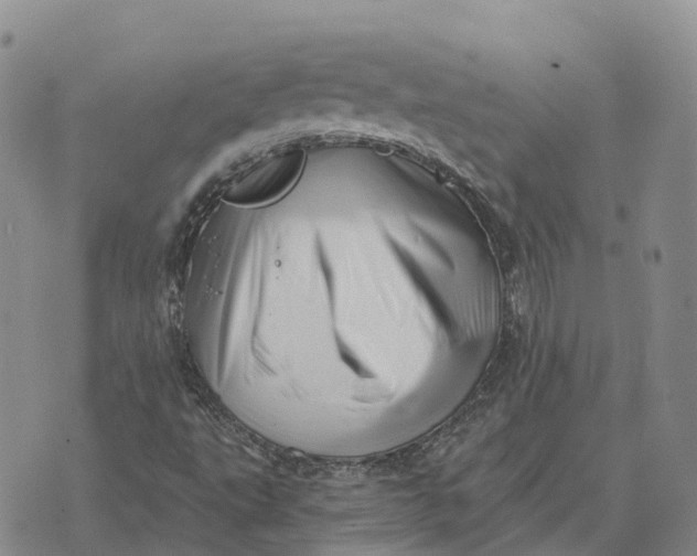 X0000073891495200609011640