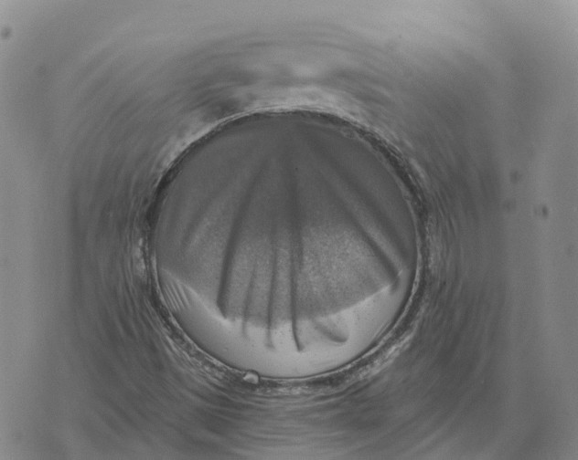 X0000073891497200609011640