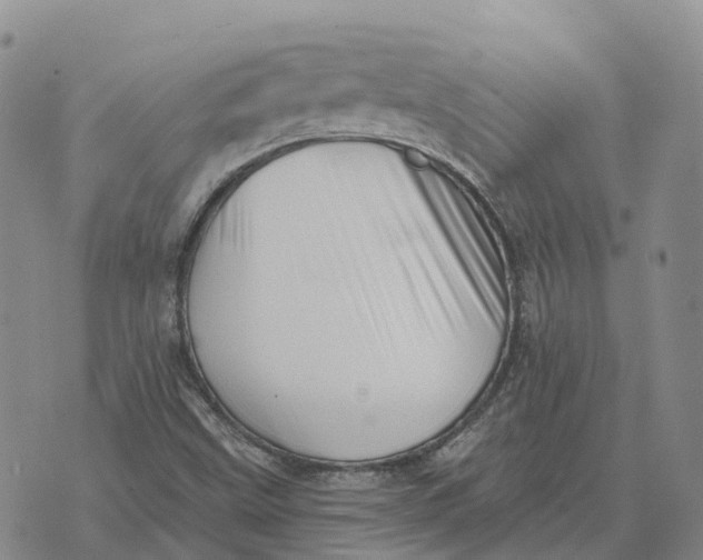 X0000073891499200609011640