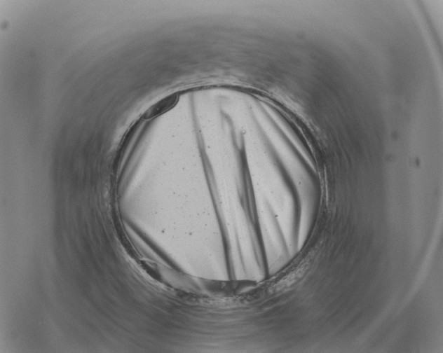 X0000073891500200609011640