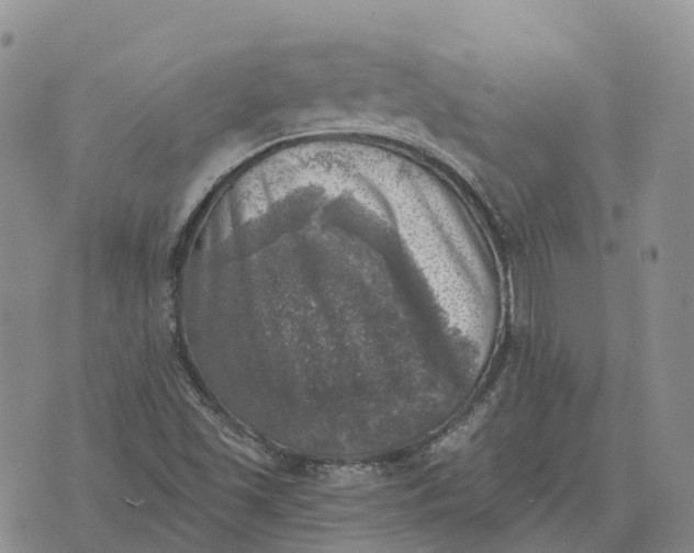 X0000073891501200609011640