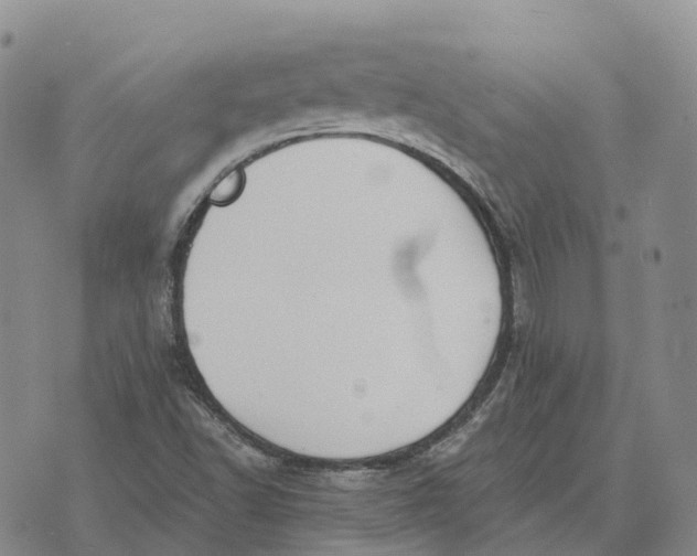 X0000073891502200609011640