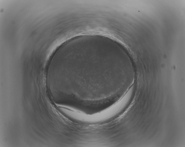 X0000073891506200609011640