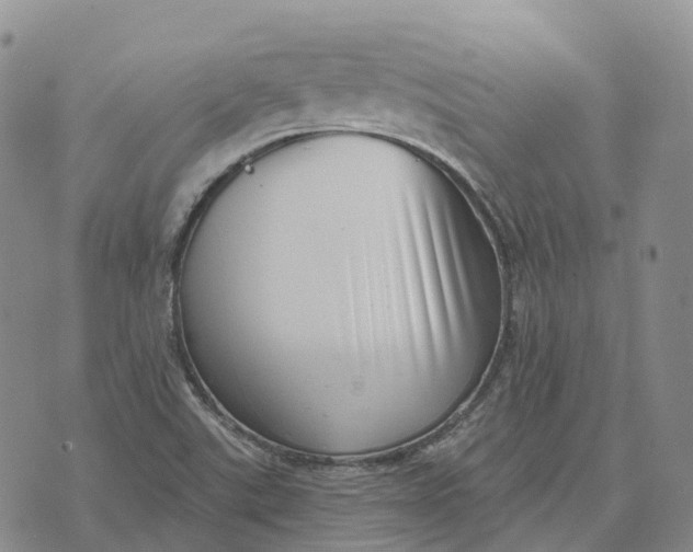 X0000073891507200609011640