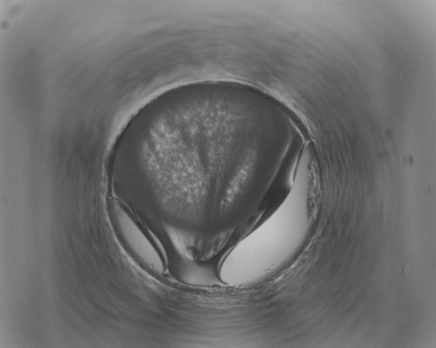 X0000073891508200609011640