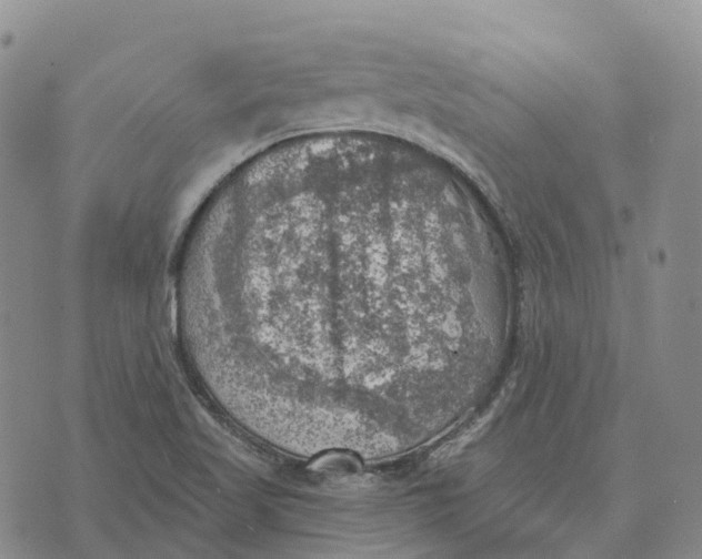 X0000073891509200609011640