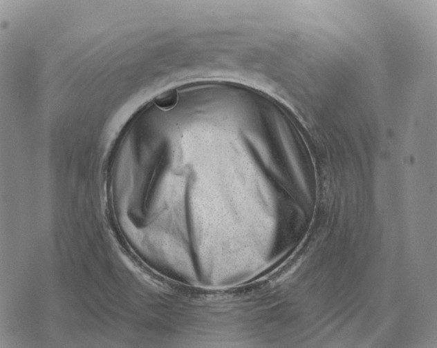 X0000073891511200609011640