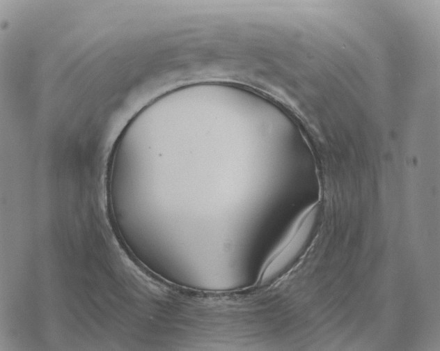 X0000073891512200609011640