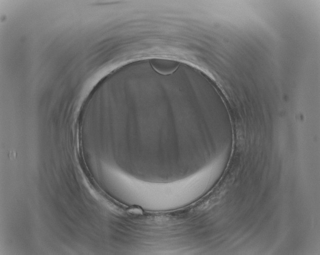 X0000073891515200609011640