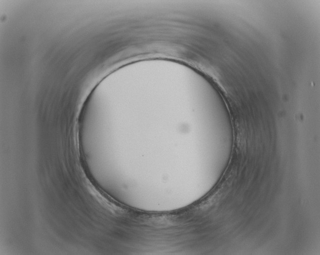 X0000073891516200609011640