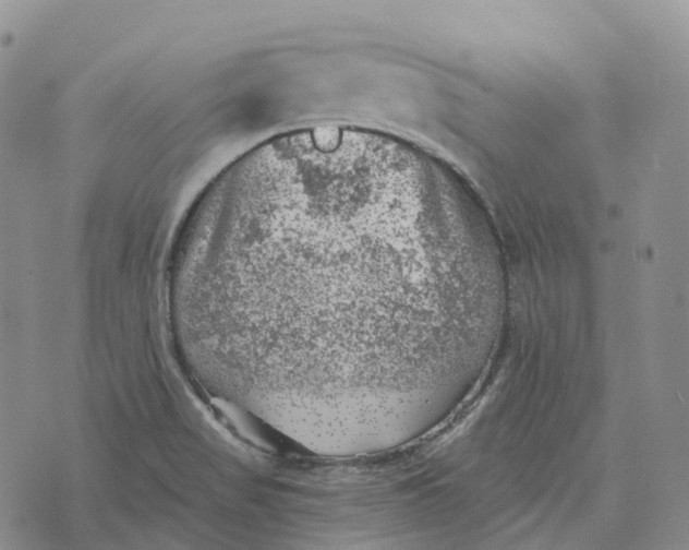 X0000073891517200609011640