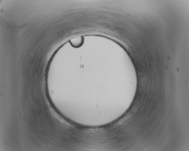 X0000073891518200609011640