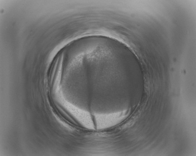 X0000073891519200609011640