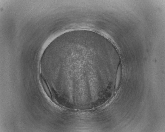 X0000073891520200609011640