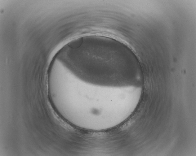 X0000073891522200609011640