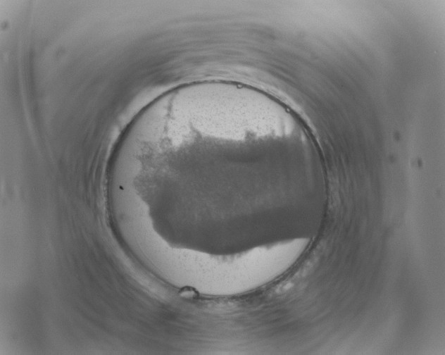 X0000073891525200609011640