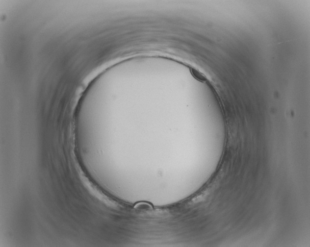 X0000073891526200609011640