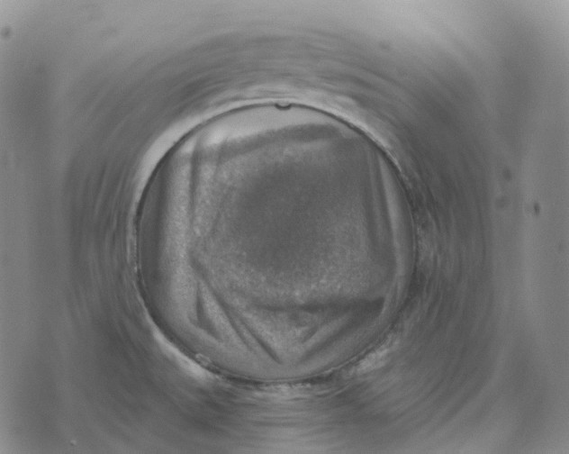 X0000073891527200609011640