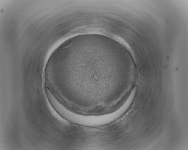 X0000073891528200609011640