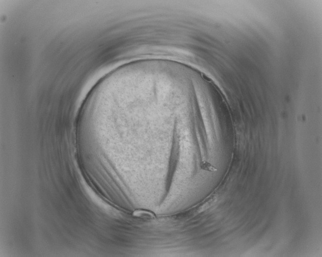 X0000073891531200609011640