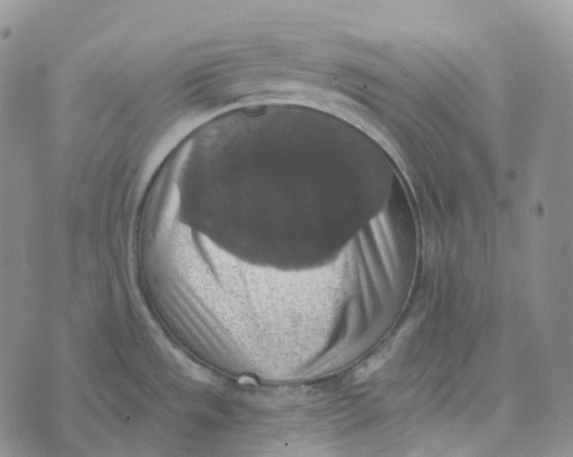 X0000073891533200609011640