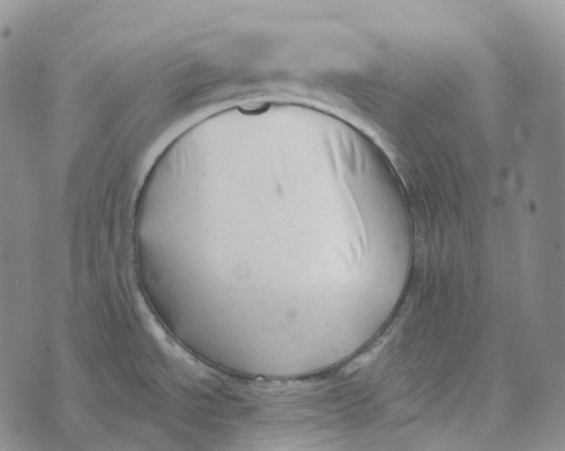 X0000073891534200609011640