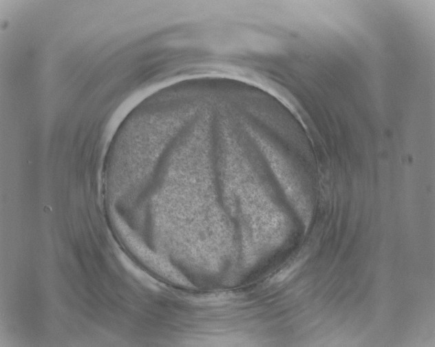 X0000073891535200609011640